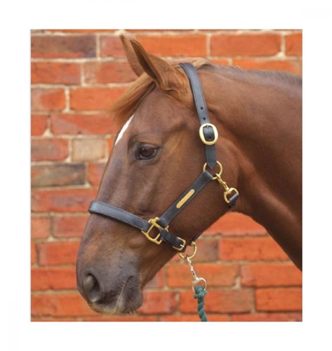 Leather head collar - leather,