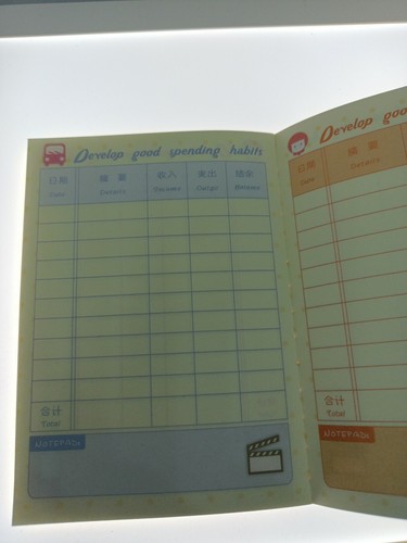 Pocket budget cash flow book - budget,