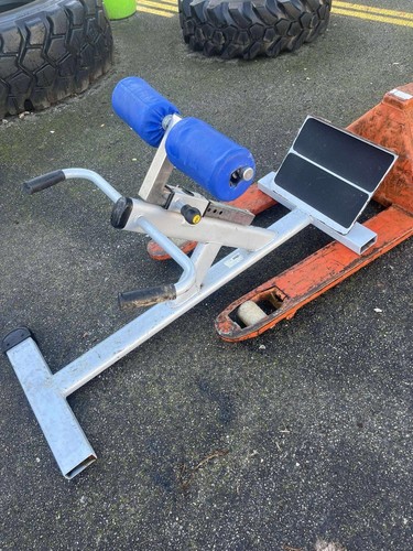 Donkey calf raise machine - donkey,