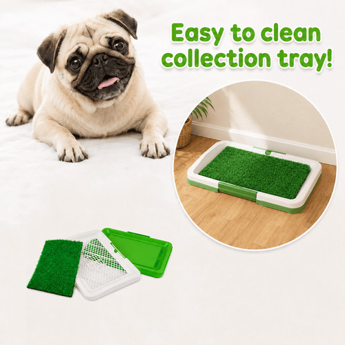 Dog toilet tray with - dog,