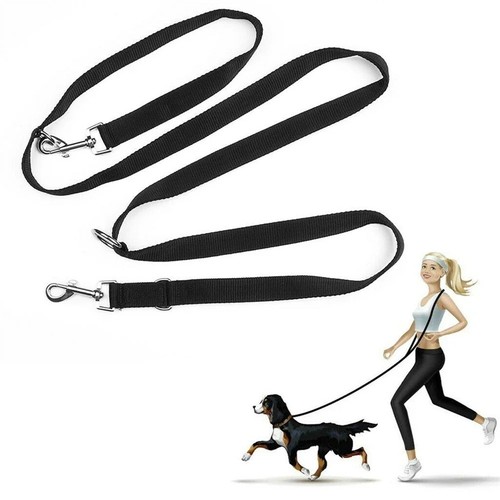 Adjustable control dog lead - dog,