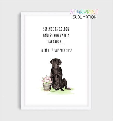 Labrador picture - (black),