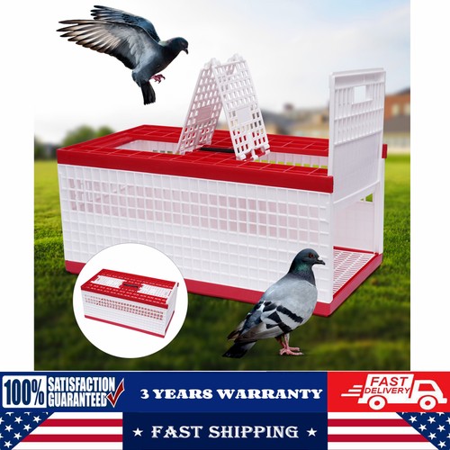 Racing pigeon cages - pigeon,