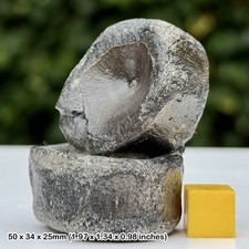 Ichthyosaur Fossil Bone Block