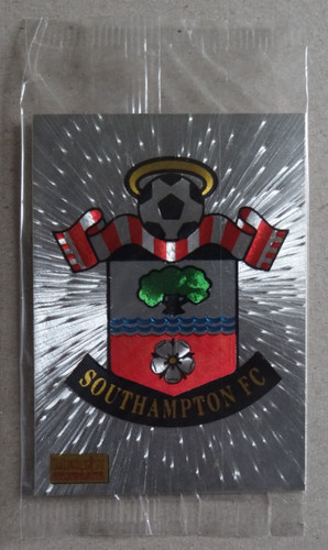 Southampton football club - southampton,