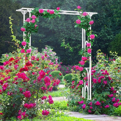 Sturdy garden arch - sturdy, arbor