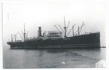 Luigi Pittaluga Vapori / Società Anonima Ilva TASMANIA PC-size RP Card