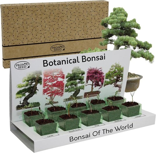 Grow your own - own, bonsai