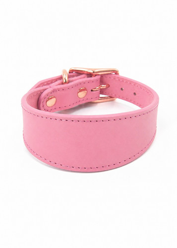 Greyhound collar - greyhound,