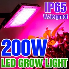 200w LED Grow Light Indoor