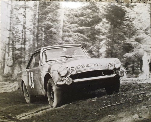 Sunbeam tiger photograph - sunbeam,