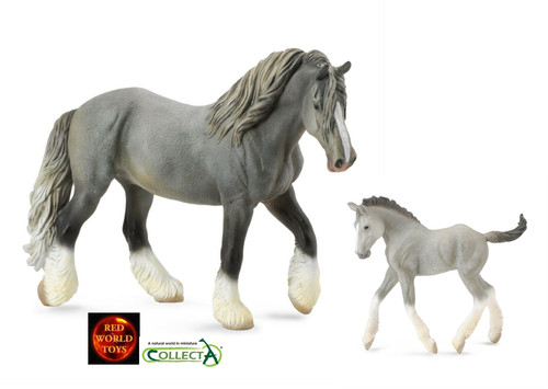 Grey shire mare and - mare, foal