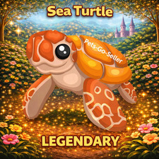Sea turtle - turtle,