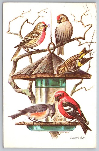 Redpoll pine siskins tufted - siskins,,