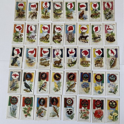 John player cigarette cards - player,