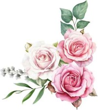 Beautiful Flowers Colourful