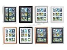 9 Trading Card Frame for TCG