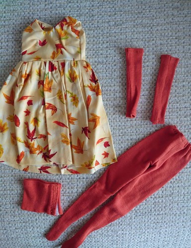 Autumnal dress accessories - autumnal,