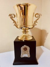 🏆 Big Silver Darts Trophy