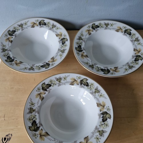 Royal doulton larchmont - 3,