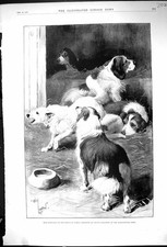 Antique Old Print 1897 Dogs Prince Wales Crufts Dog Show Agricultural Hall 19th