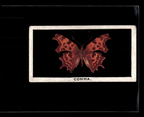 1927 godfrey phillips british - 1927,