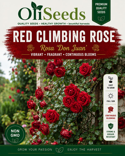Red climbing rose seeds - red,