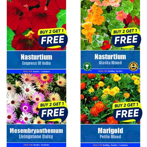 Flower seeds plants borders - plants,