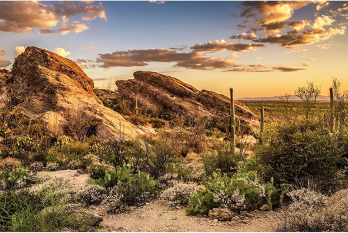 Desert mountain reptile tank - mountain,