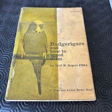 Budgerigars And How To Breed