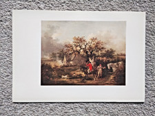 Partridge Shooting : George