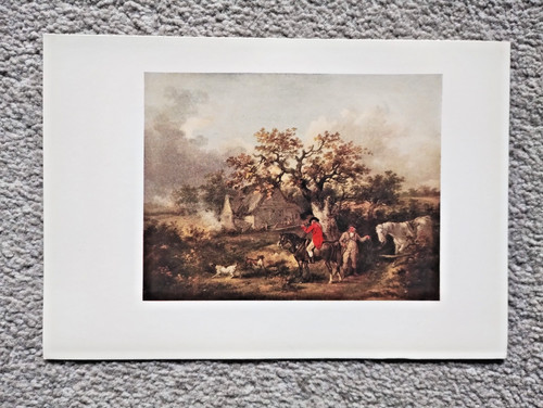 Partridge shooting george - shooting, :