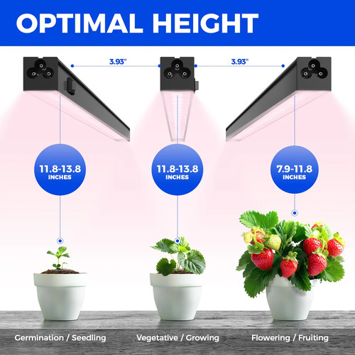 Barrina 1ft led - barrina,