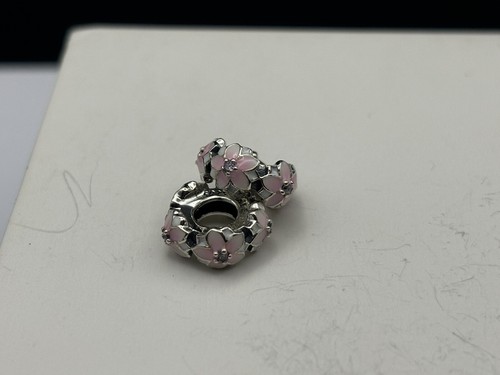 Set genuine pandora - -set,
