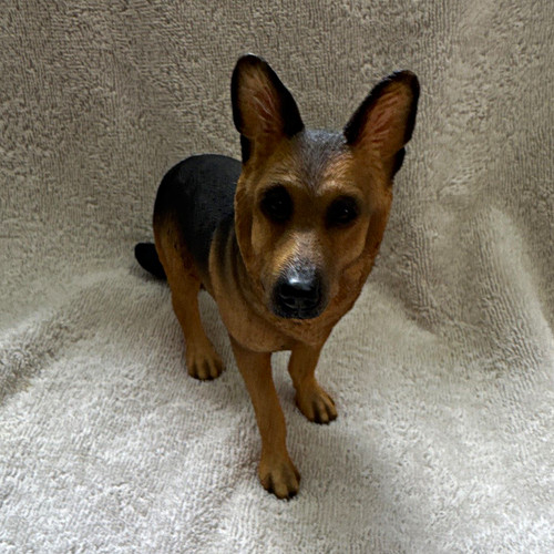 Alsatian german shepherd dog - alsatian/german,