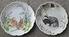 ROYAL ALBERT BONE CHINA PLATES X 2 - COUNTRY WALK COLLECTION - SPRING & WINTER