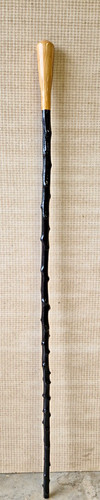 Blackthorn stick lovely - blackthorn,
