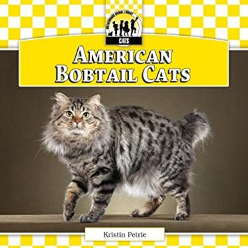 American bobtail cats library - bobtail,