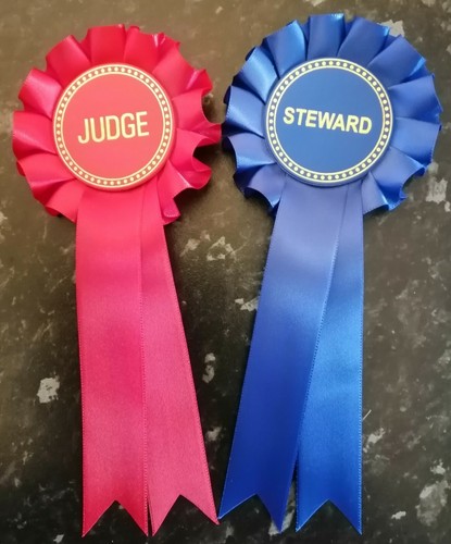 Set judge and steward - of,