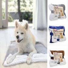 Animal, Pet, Dog, Cat Soft