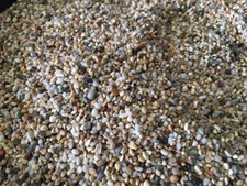 Fish Tank Aquarium Natural Pea