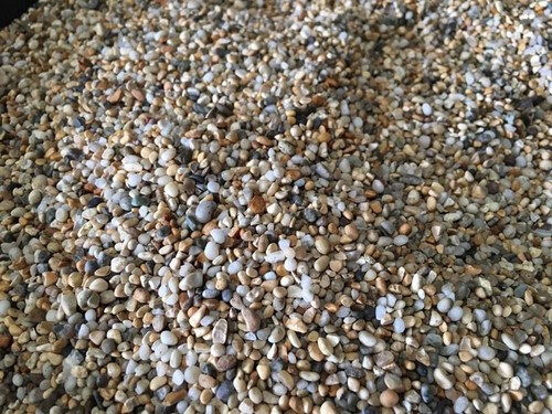 Fish tank aquarium natural pea - aquarium,