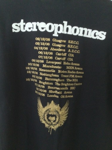 Stereophonics 2008 decade - stereophonics, in