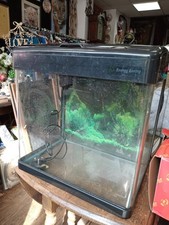 Fish Tank Aquarium