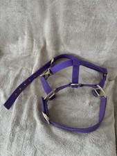 Horse riding items for Child - Body protector, Halter, Riding crop, Hat, Gaiters