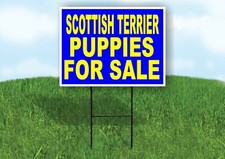 Scottish Terrier PUPPIES FOR