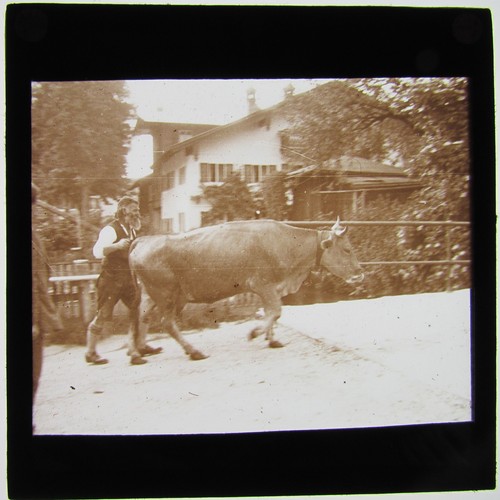 Nice glass magic lantern slide - nice,