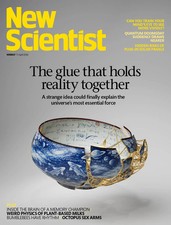 NEW SCIENTIST MAGAZINE 3590 ~