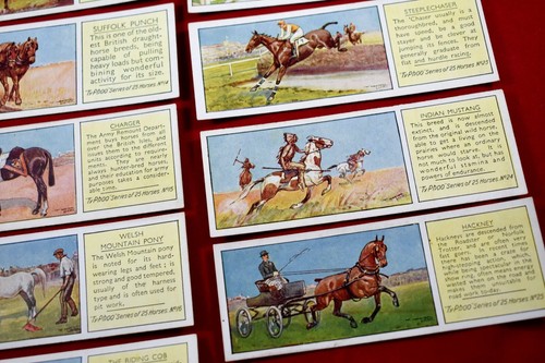 Vintage typhoo tea horses - tea,