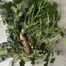 Fresh Cut Real Ivy Holly Nordmann Fir Christmas Tree Foliage Pine Cones Mixed? 